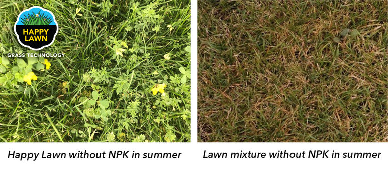 Image-Happy-Lawn-Comp-EN.jpg